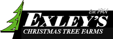 Exley's Christmas Tree Farms